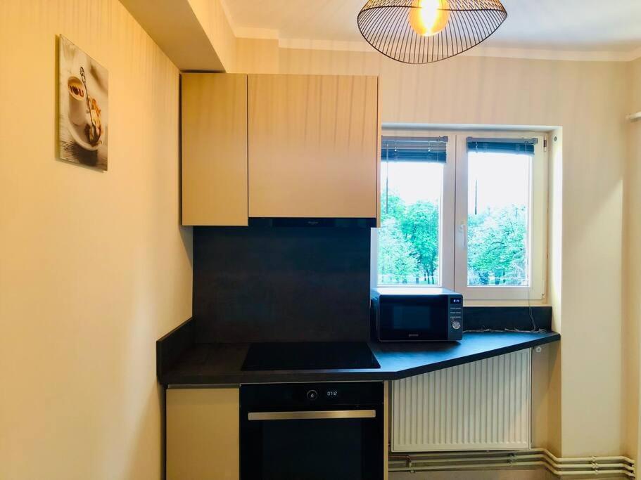 Joy City Stay Victoriei 7G-13 Timişoara Eksteriør billede